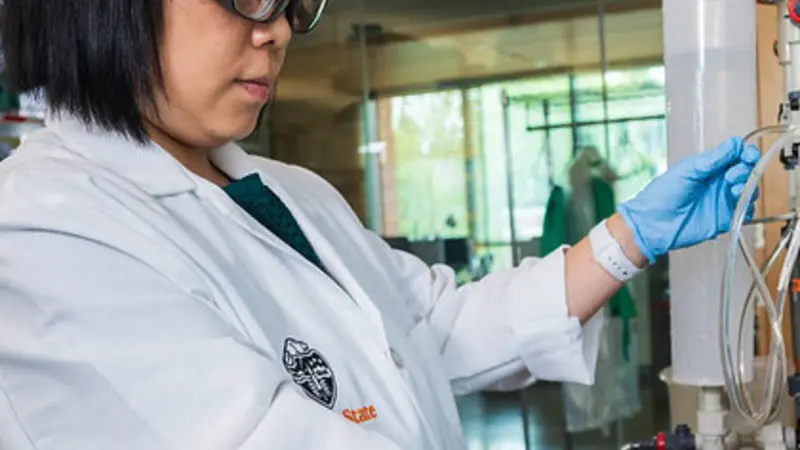 Xue Jin, assistant professor of environmental engineering at Oregon State University, is developing hybrid filtration technology to enable the use of reclaimed water in agriculture, reducing the need for freshwater and chemical fertilizers. Photo by Johan