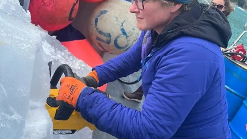 Erin Pettit cuts glacier ice with a chain saw to measure ice structural properties and bubble pressures.