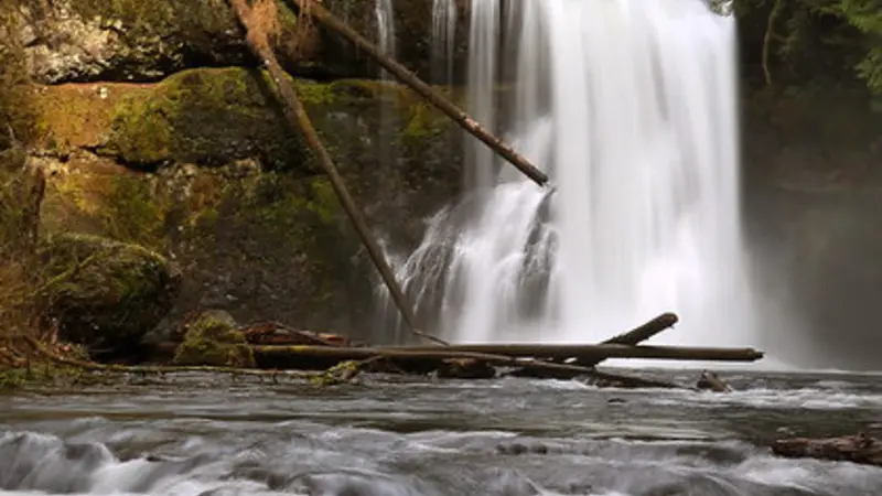 Upper North Falls, Silver Falls State Park. Photo by Steve Dundas, OSU College of Agricultural Sciences.
