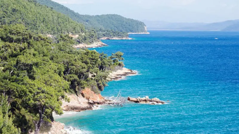 Gokova Bay, Turkey, marine protected area. Photo by Zafer Kizilkaya.