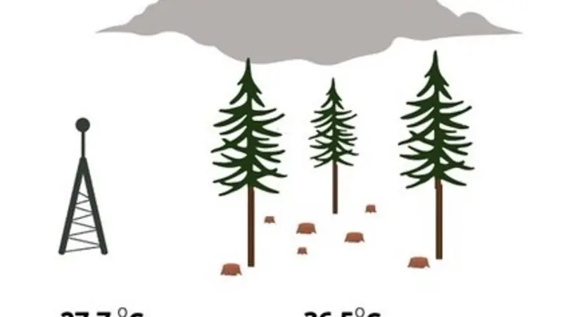 Smoke's cooling effect. Graphic provided by Amanda Brackett, OSU College of Forestry.