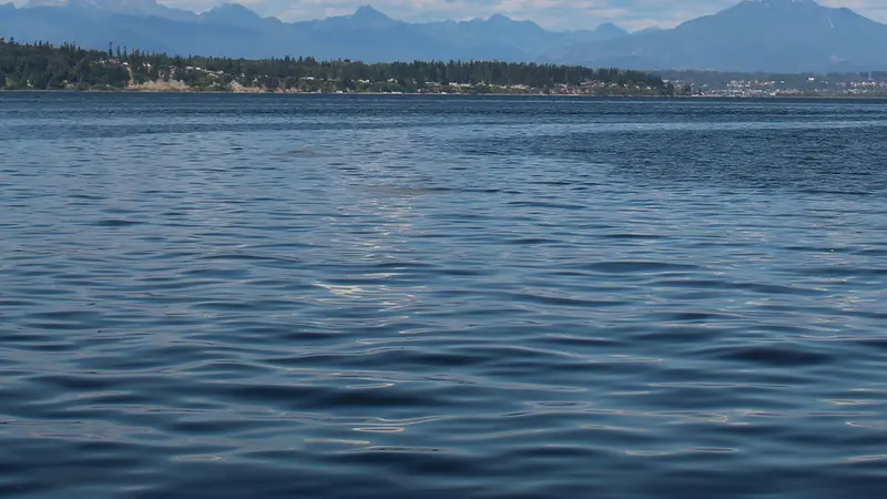 ocean