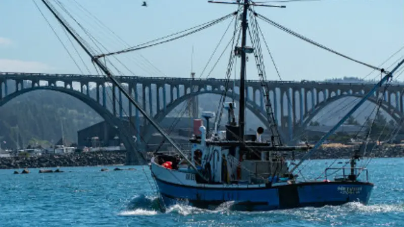 Newport