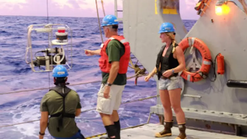 Sargasso Sea phytoplankton research