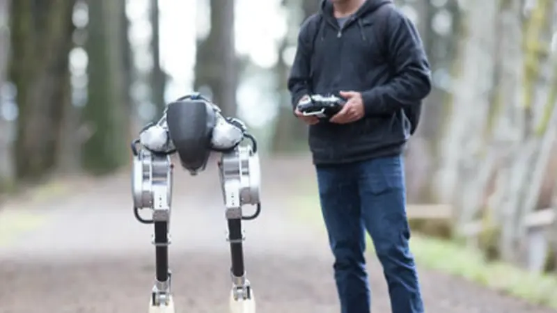 Cassie the robot