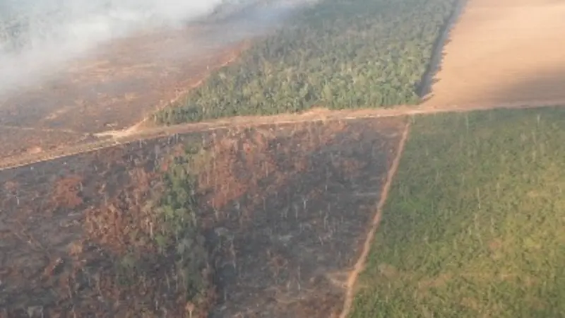 Burned and fragmented forest in Amazon