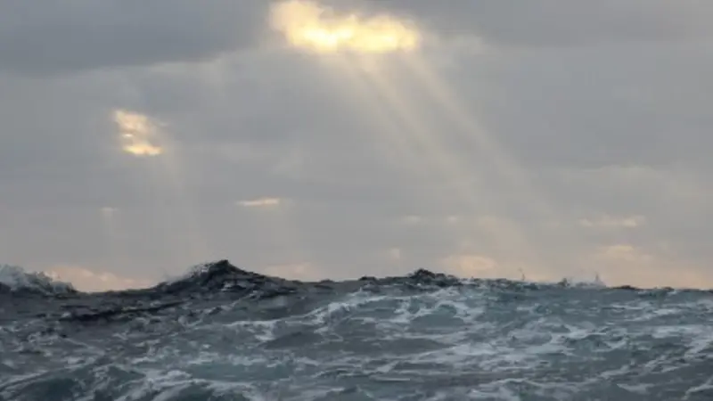 North Atlantic, photo courtesy Luis Bolaños, OSU