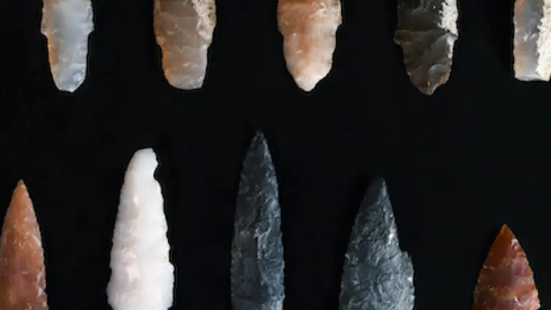 Image shows 10 of the 13 projectile points found at Cooper's Ferry, with a wide variety of sizes and colors of stone, set against a black background.