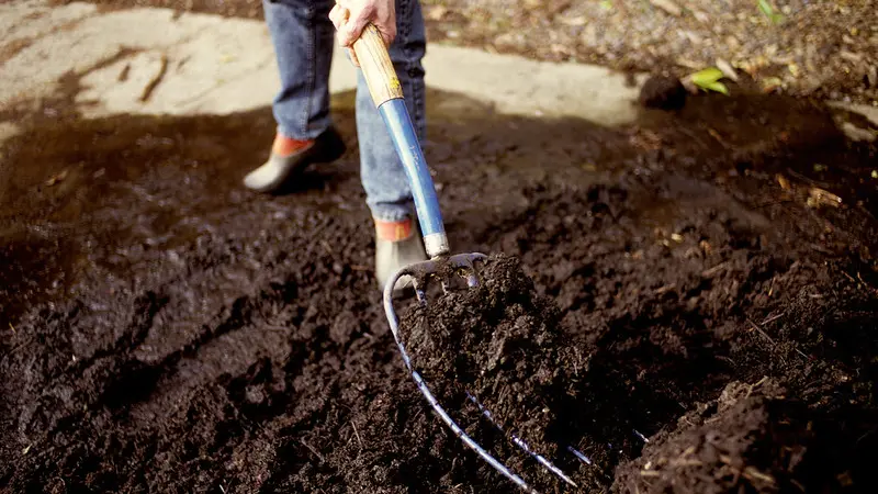 In no-till gardening, using a garden fork means less soil disturbance. Photo by Tom Gentle.