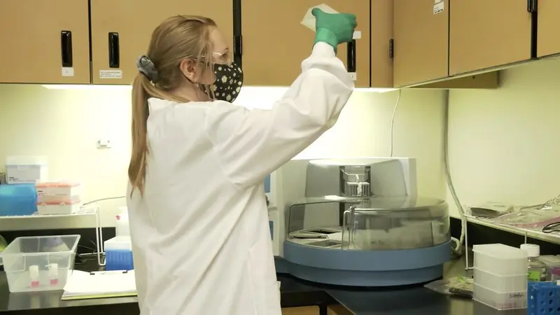 Checking samples in the OVDL
