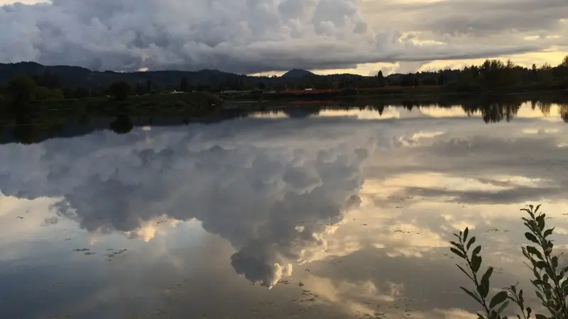 Cheadle Lake