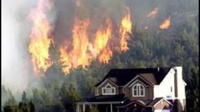 Masive flames billow up among the pine trees behind a large house on the edge of the forest.