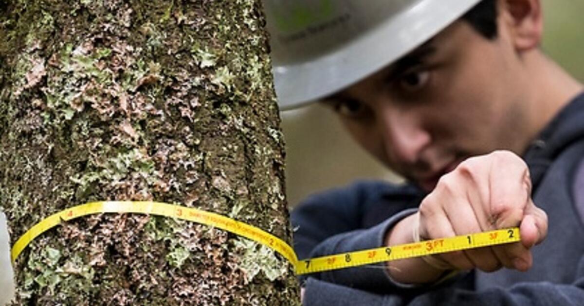 College of Forestry finalizes new management plan for OSU’s McDonald-Dunn Research Forest