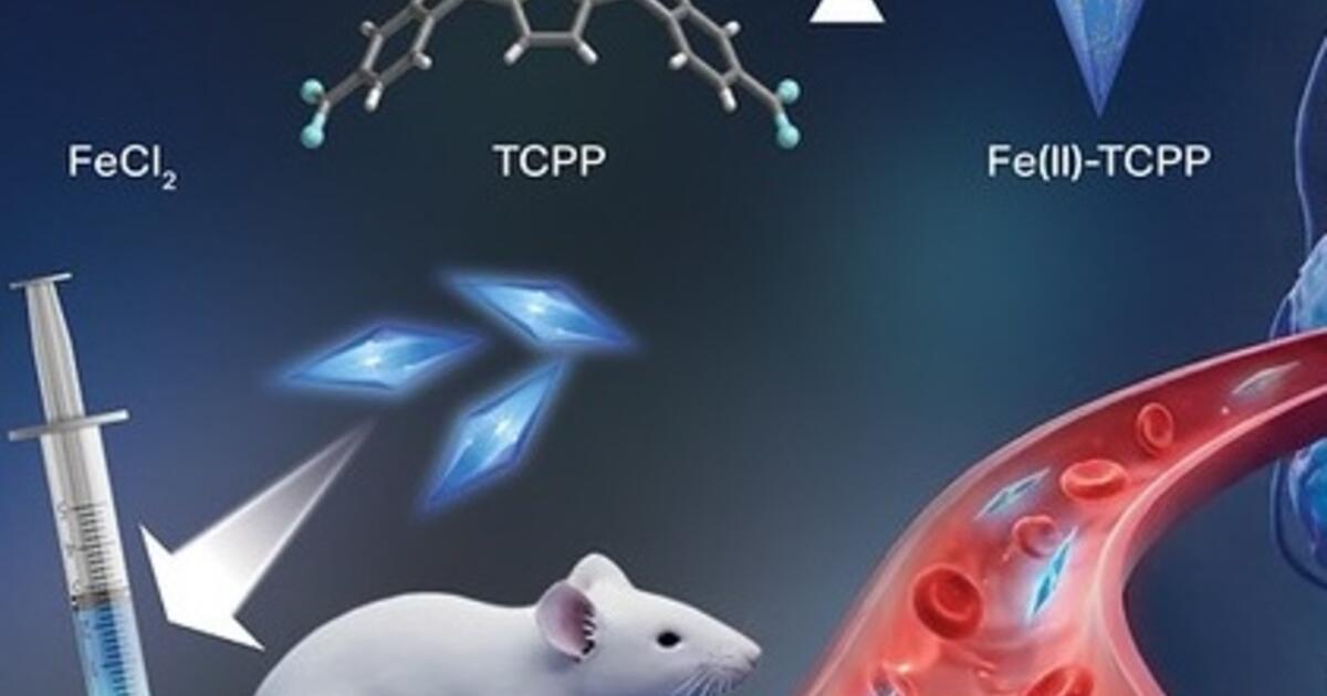 New cancer-killing material developed by Oregon State University nanomedicine researchers
