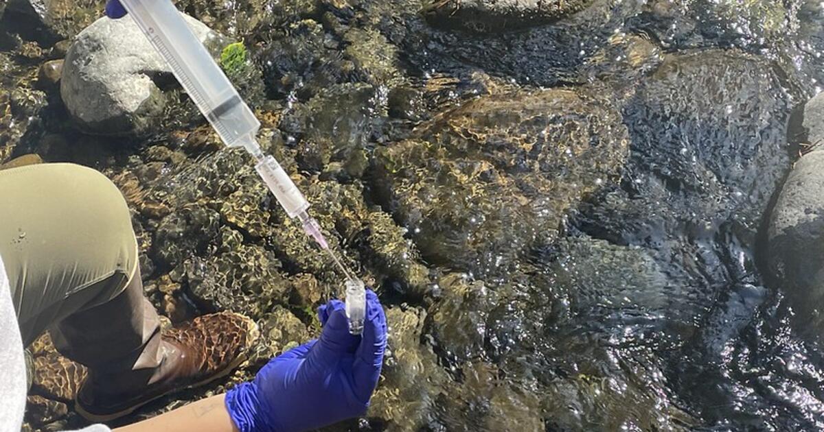 Warmer winters and snow drought may threaten western U.S. water by speeding flows, study finds