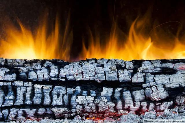 burning log image 