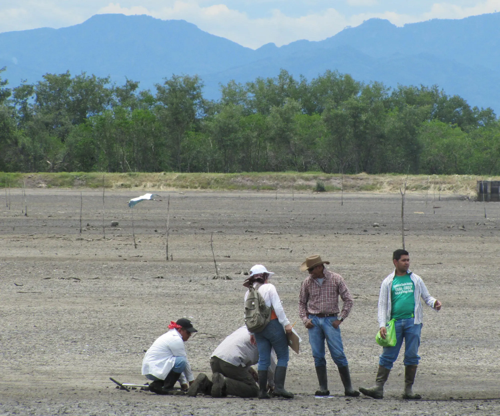 A group of yung people are collecting soil data in Honduras.