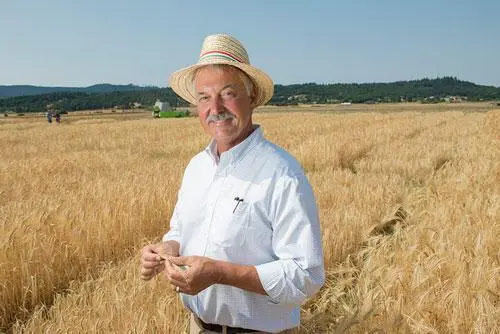 A man wearing a hat smiles as he stands in a yellow barley field. Mountains are in the background.