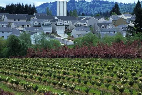 A farm is in the foreground and a subdivision of houses is in the background.