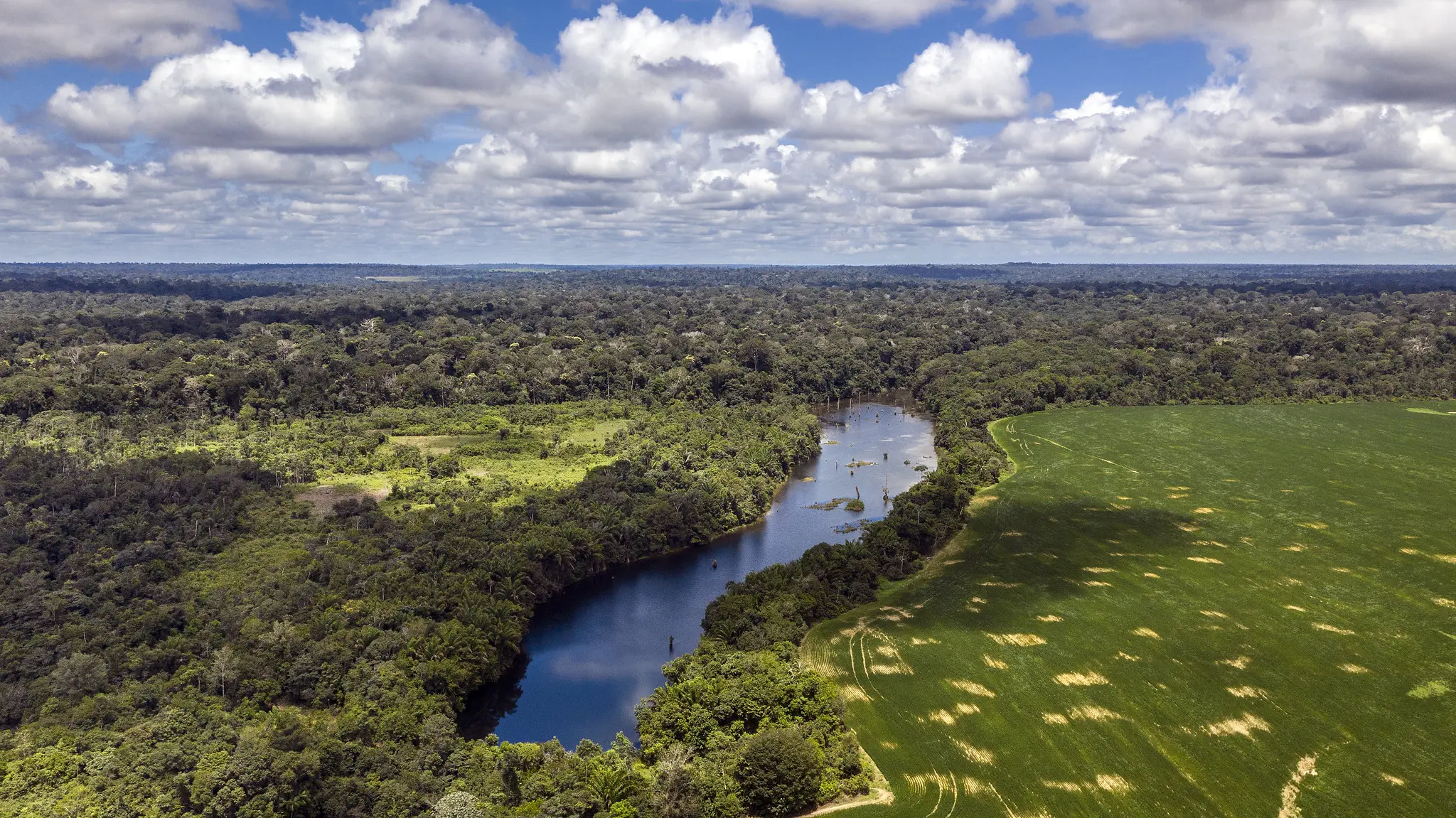 Photo of the Amazon region in Brazil by Marizilda Cruppe provided by the OSU College of Agricultural Sciences.