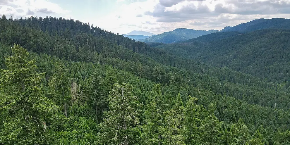 McDonald Forest, foreground, and Marys Peak.