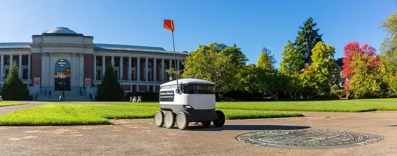Delivery robot