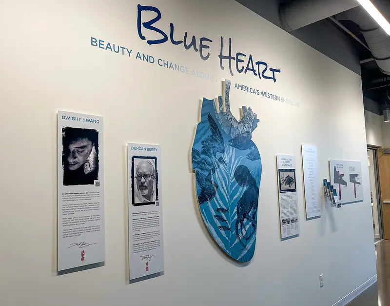 Artist rendering of human heart in blue on a wall with additional display plaques about the exhibit. 