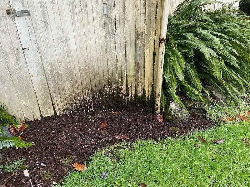 Water damage on structure.