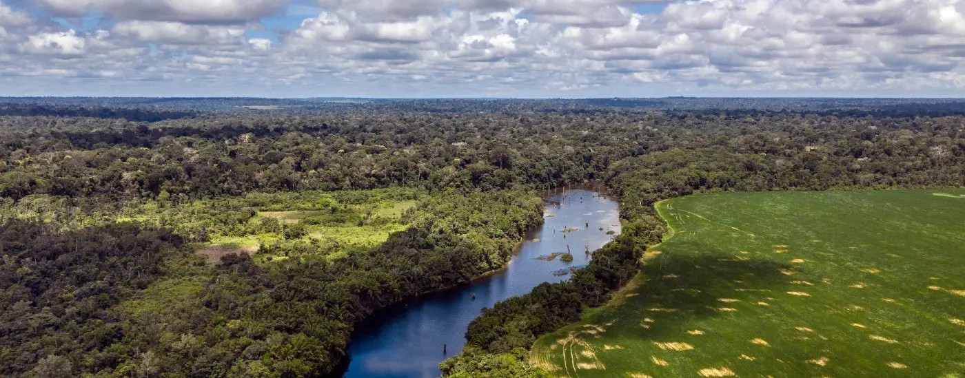 Flona Tapajós, Pará, Brasil by Marizilda Cruppe - Rede