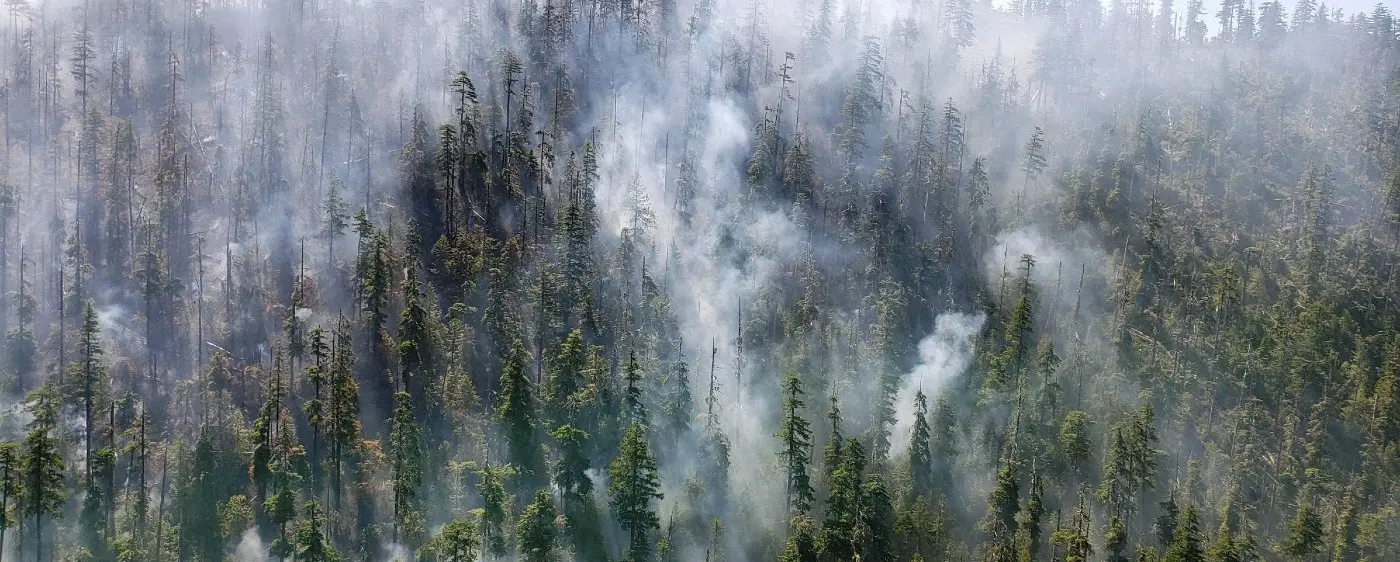 Beachie Creek fire