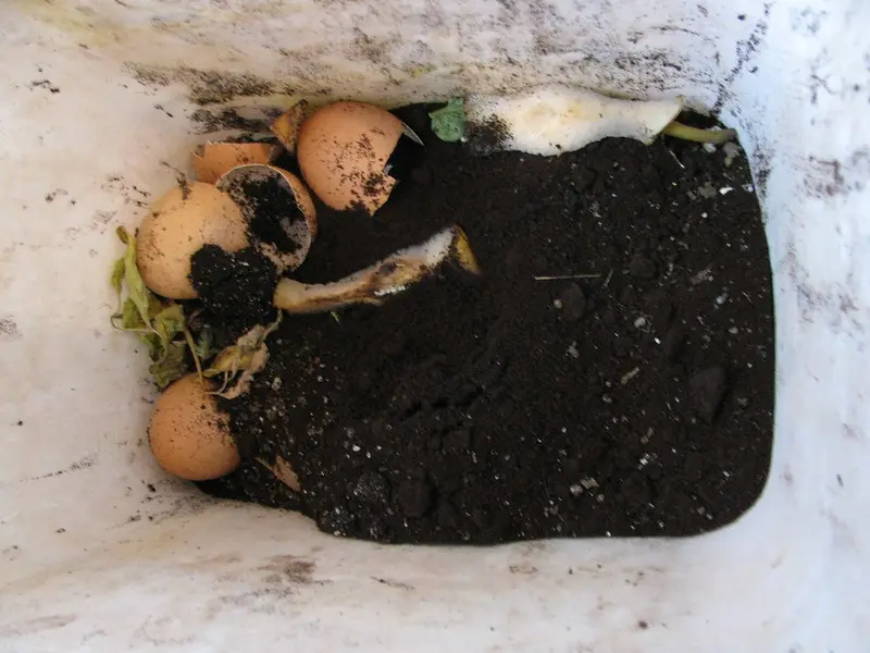 coffee grounds are mixed into a compost container with egg shells