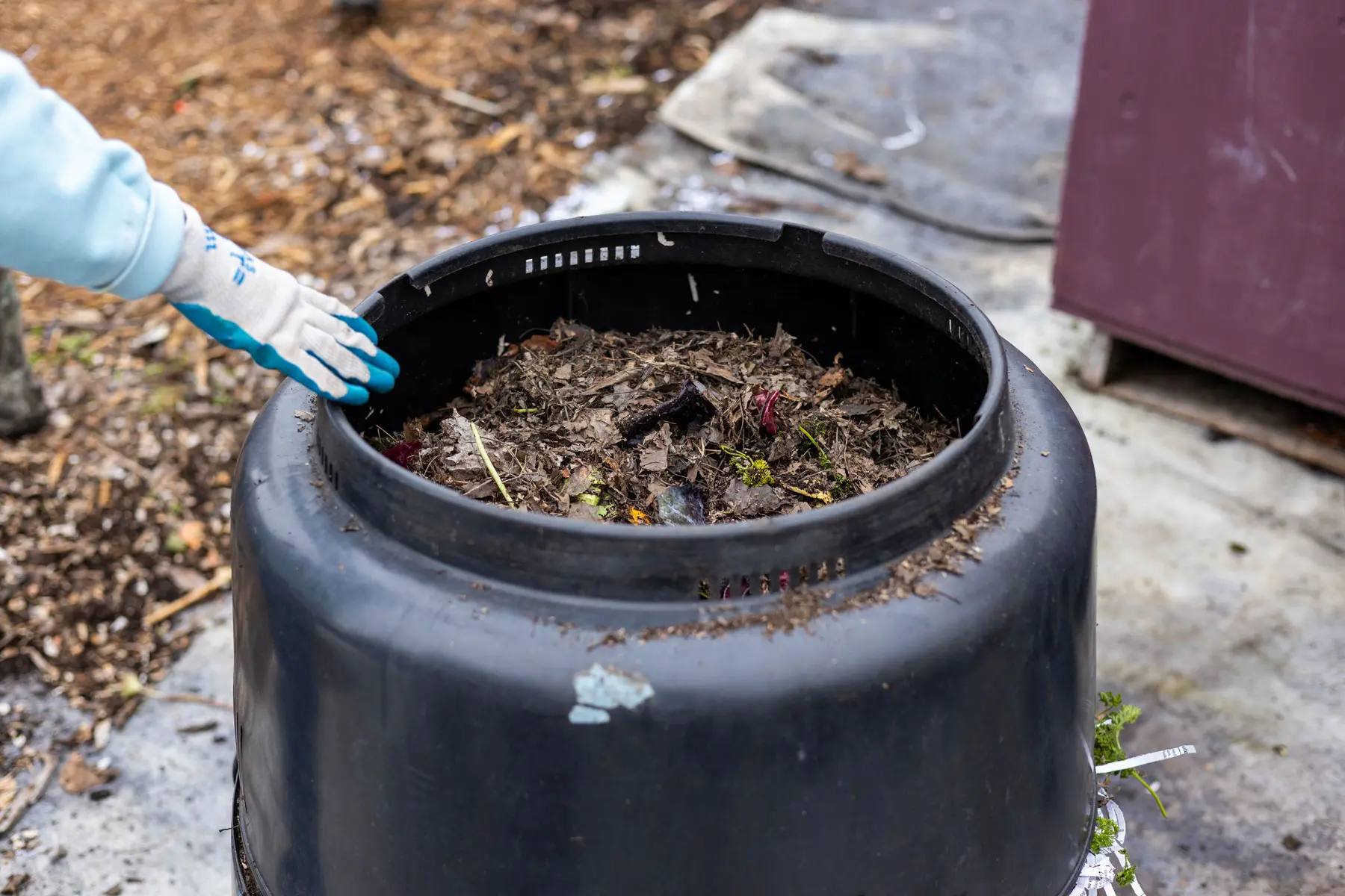 Compost in a large plastic container.