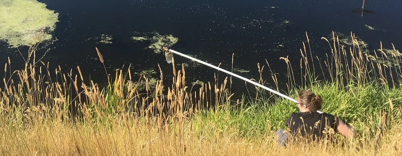 Algae sampling