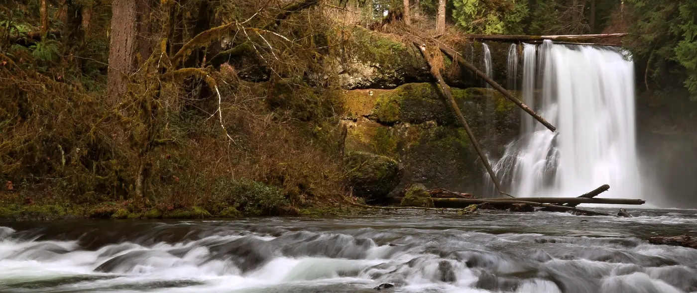 Upper North Falls, Silver Falls State Park. Photo by Steve Dundas, OSU College of Agricultural Sciences.