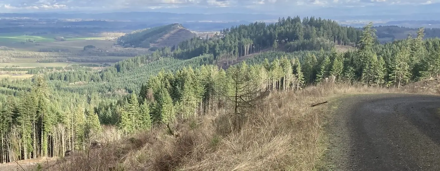 Dunn Forest, looking toward Coffin Butte