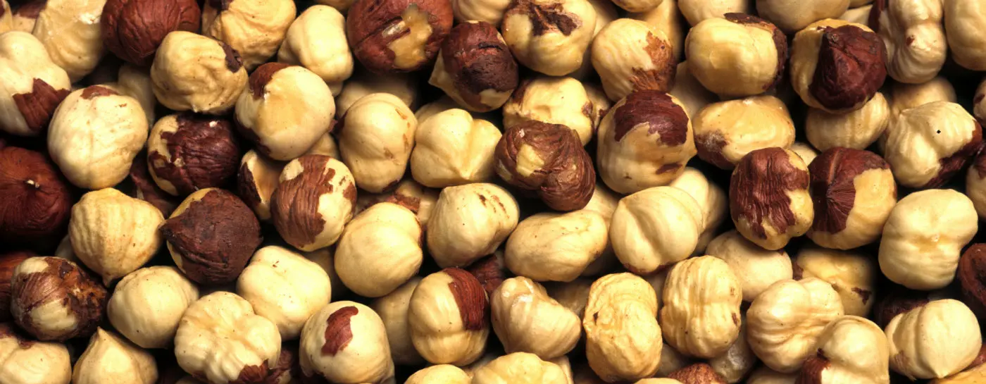 hazelnuts