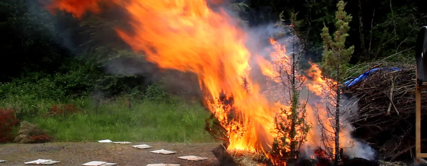 live-fuel wildfire test