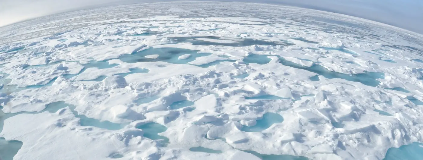 ice floe