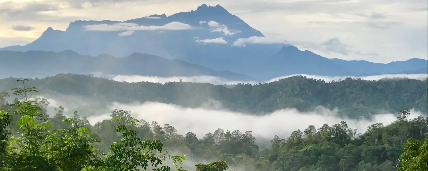 Intact forest in Borneo