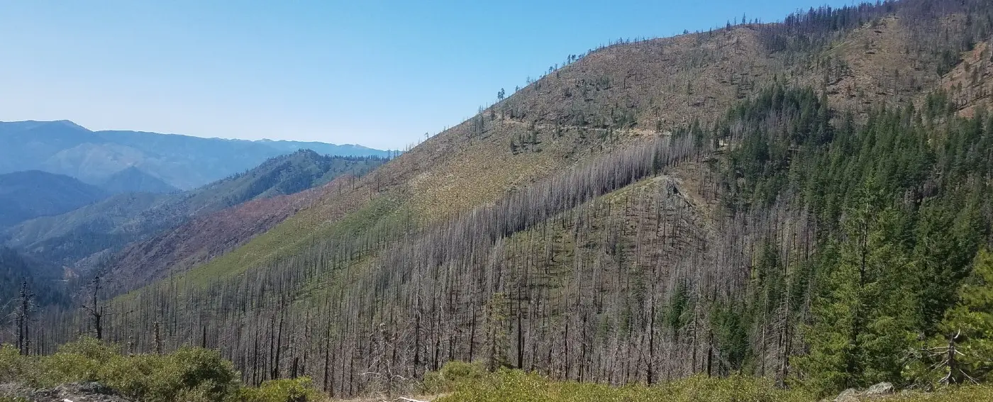 Fire refugia