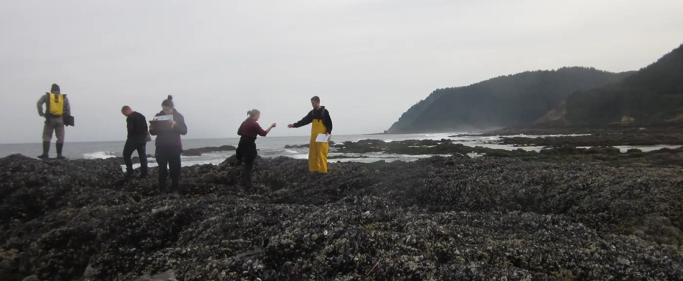 Oregon rocky intertidal zone