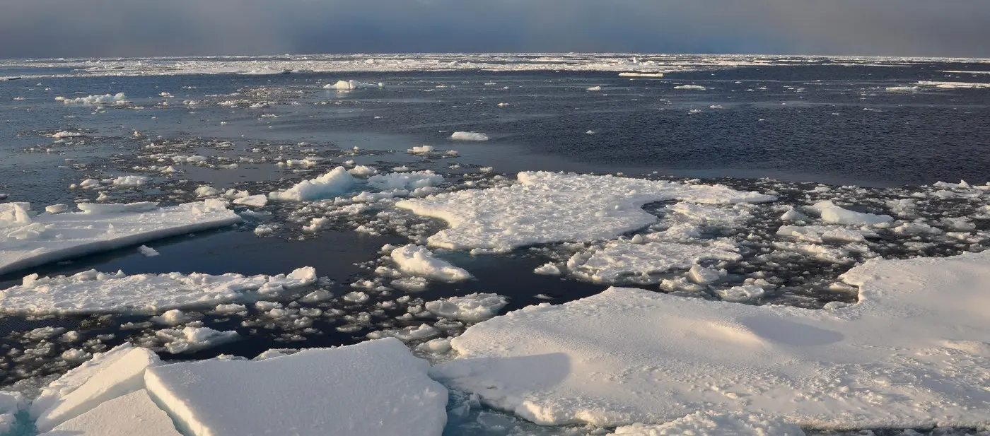 Melting sea ice (credit: Patrick Kelley, CC BY 2.0): <a href="https://en.wikipedia.org/wiki/Sea_ice#/media/File:Arctic_ice.jpg" rel="noreferrer nofollow">en.wikipedia.org/wiki/Sea_ice#/media/File:Arctic_ice.jpg</a>