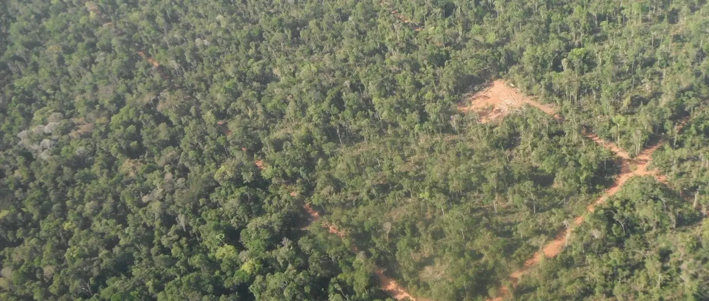 Logged area in Amazon