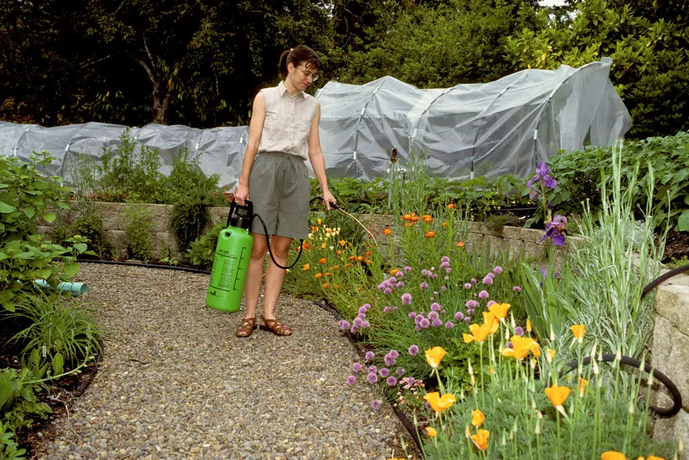 organic garden