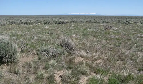 Boundary between burned and unburned areas in the Hart Mountain National Antelope Refuge
