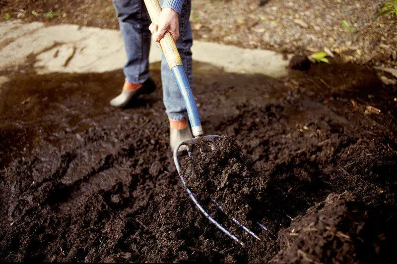 In no-till gardening, using a garden fork means less soil disturbance. Photo by Tom Gentle.