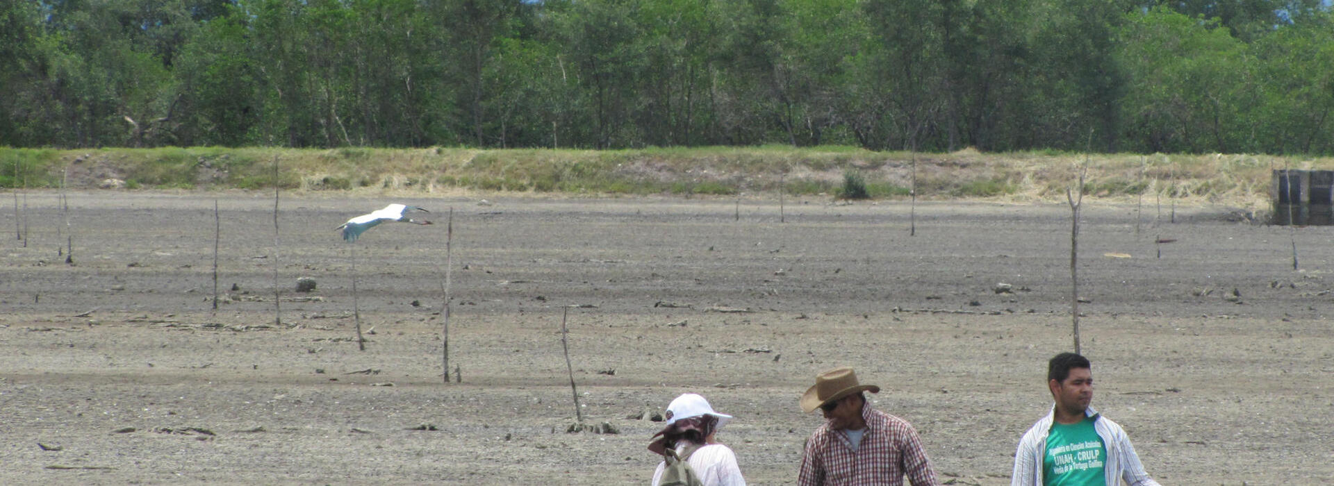 A group of yung people are collecting soil data in Honduras.