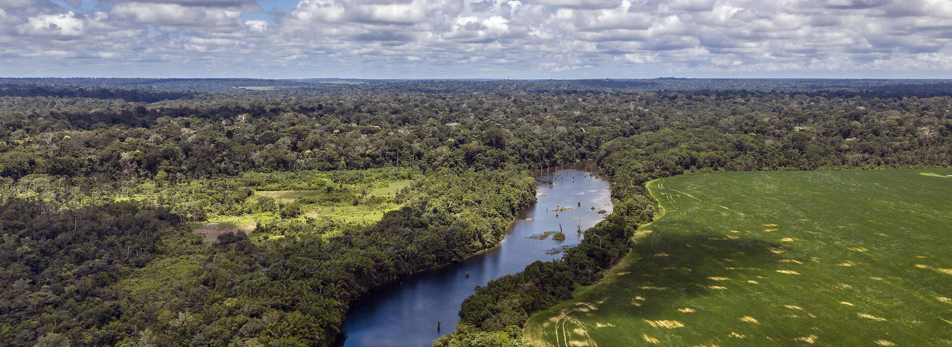 Photo of the Amazon region in Brazil by Marizilda Cruppe provided by the OSU College of Agricultural Sciences.