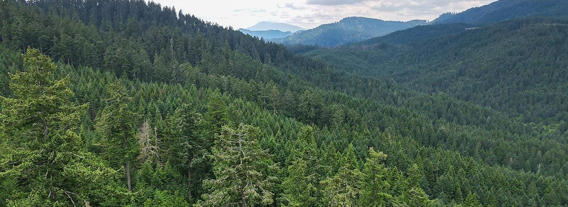 McDonald Forest, foreground, and Marys Peak.