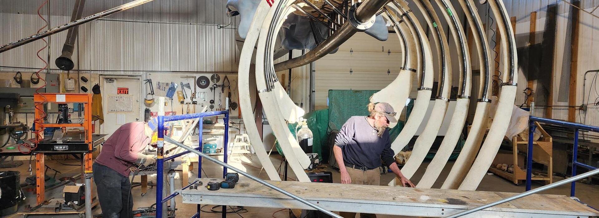 A man stands in the center of the rib cage of a blue whale skeleton in a warehouse. 